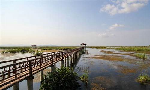 上海崇明岛一日游攻略_上海崇明岛一日游攻