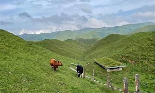 南山牧场门票多少钱_南山牧场门票多少钱一