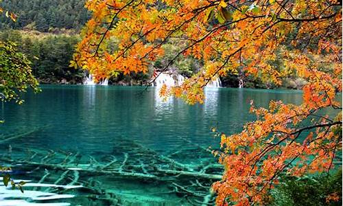 九寨沟的景点有哪些_九寨沟的景点有哪些地