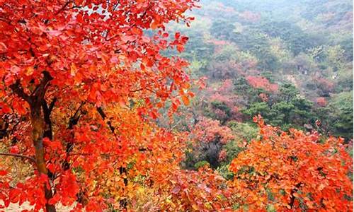 北京香山公园开放时间_北京香山公园开放时