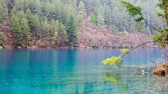 夏天去哪旅游最合适_夏天去哪旅游最合适带孩子