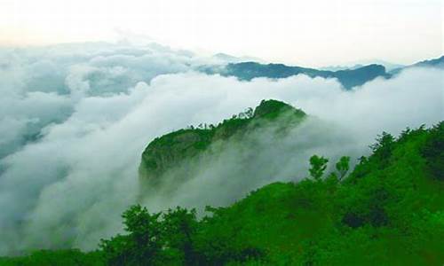 木札岭天气预报