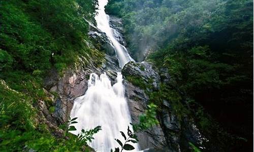 天目山旅游景点攻略_天目山旅游景点攻略一日游多少钱