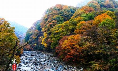 光雾山一日游_光雾山一日游怎么安排